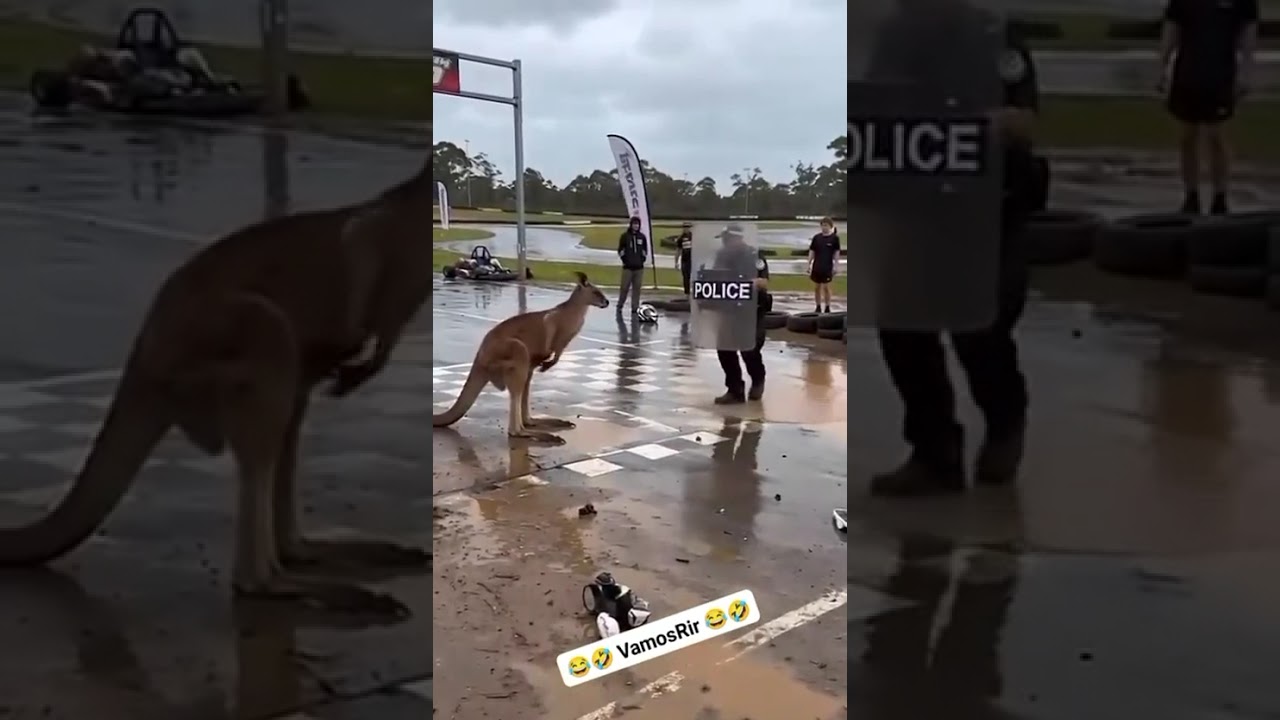 não é para você rir era só para você ver 😄👮@