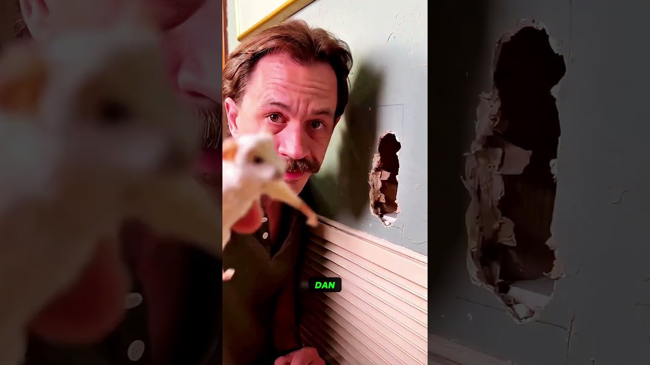 Ayah membuat rumah mungil untuk tikus… Dan hasilnya luar biasa! 😳🐀🏠 #viral #shorts