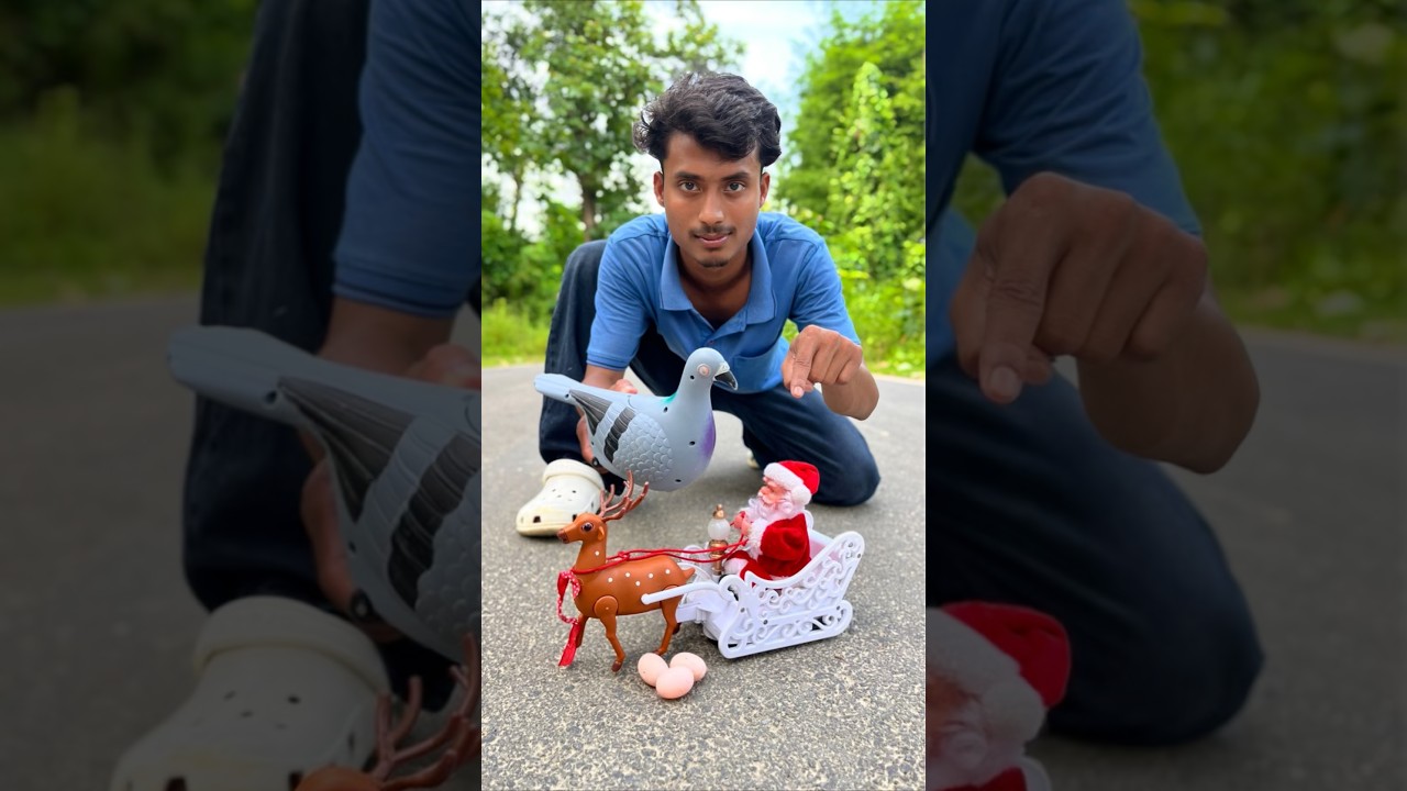 Agg Wla Pigeon Birds And Rc Santa Claus Sleigh and Reindeer Gift🎁