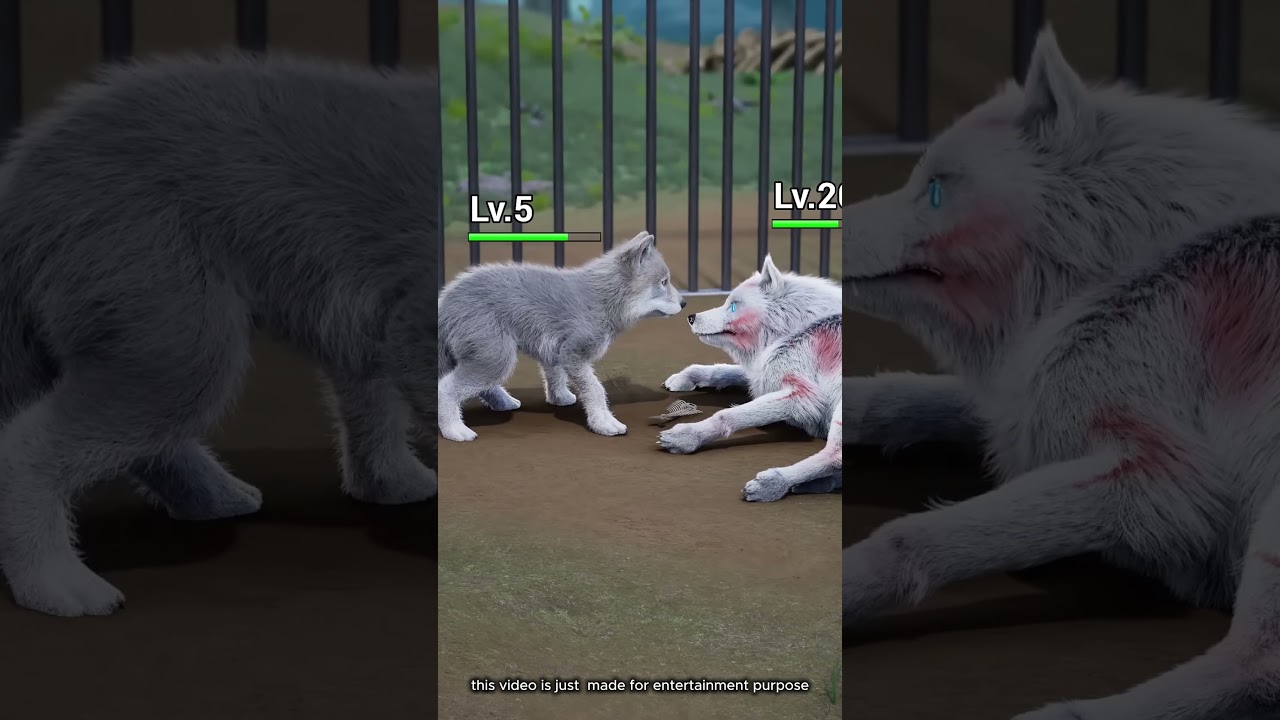 💔 Kisah Keluarga Serigala Paling Menyedihkan yang Pernah Ada! 🐺 #shots