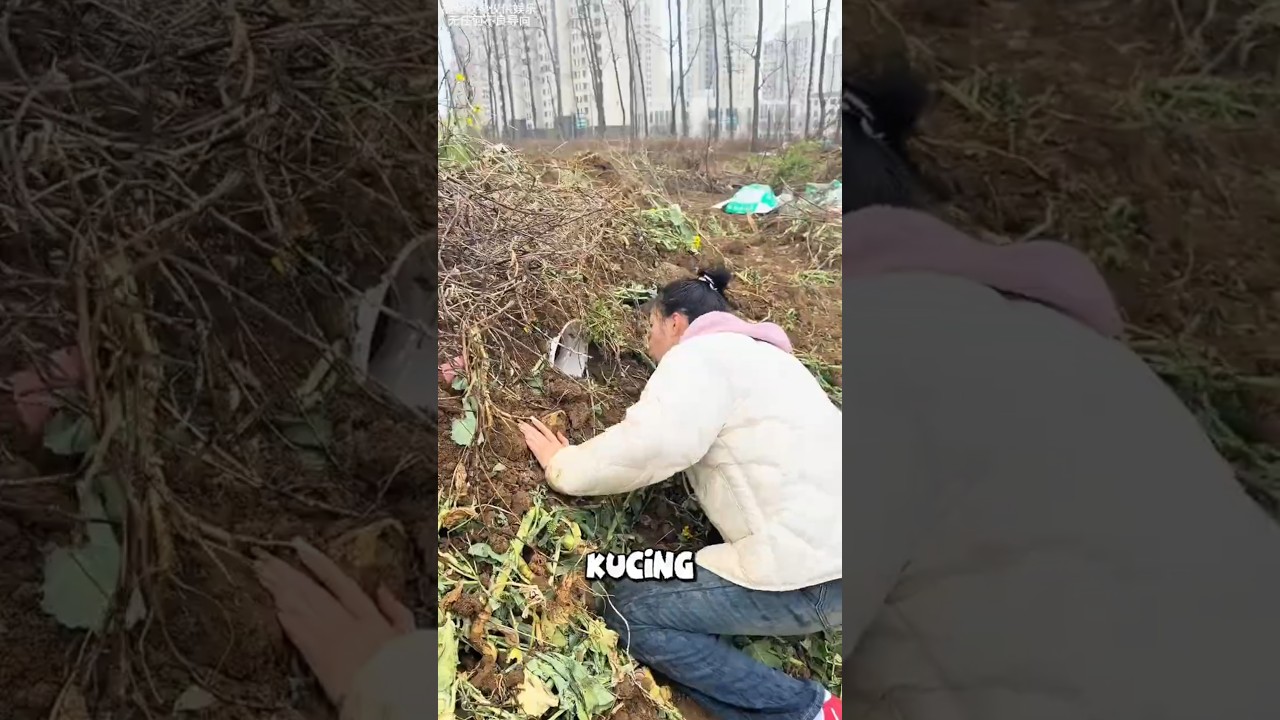 Dikira Anak Kucing yang terjebak, endingnya Ternyata....