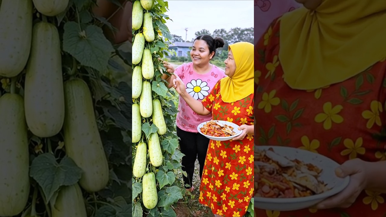 TIMUN isi EMAS yang di TANAM KAK ENENG💛💛