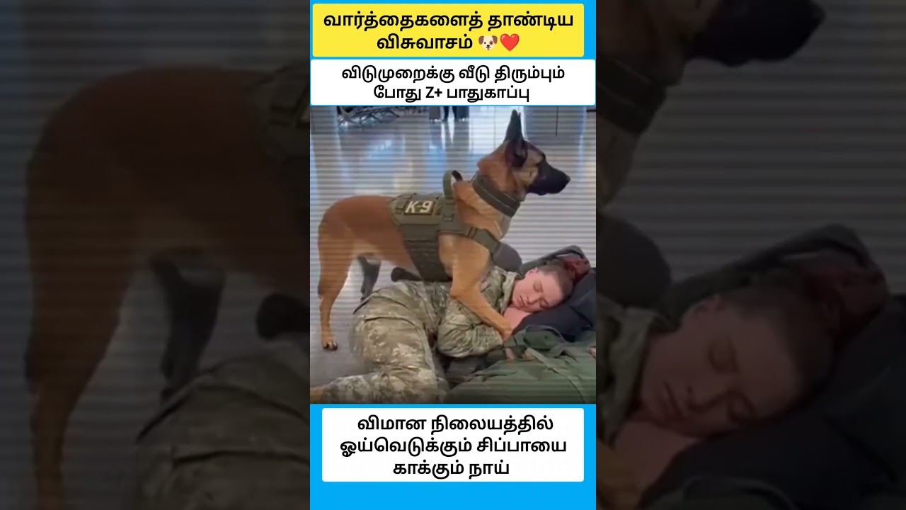 வார்த்தைகளைத் தாண்டிய விசுவாசம் #shorts