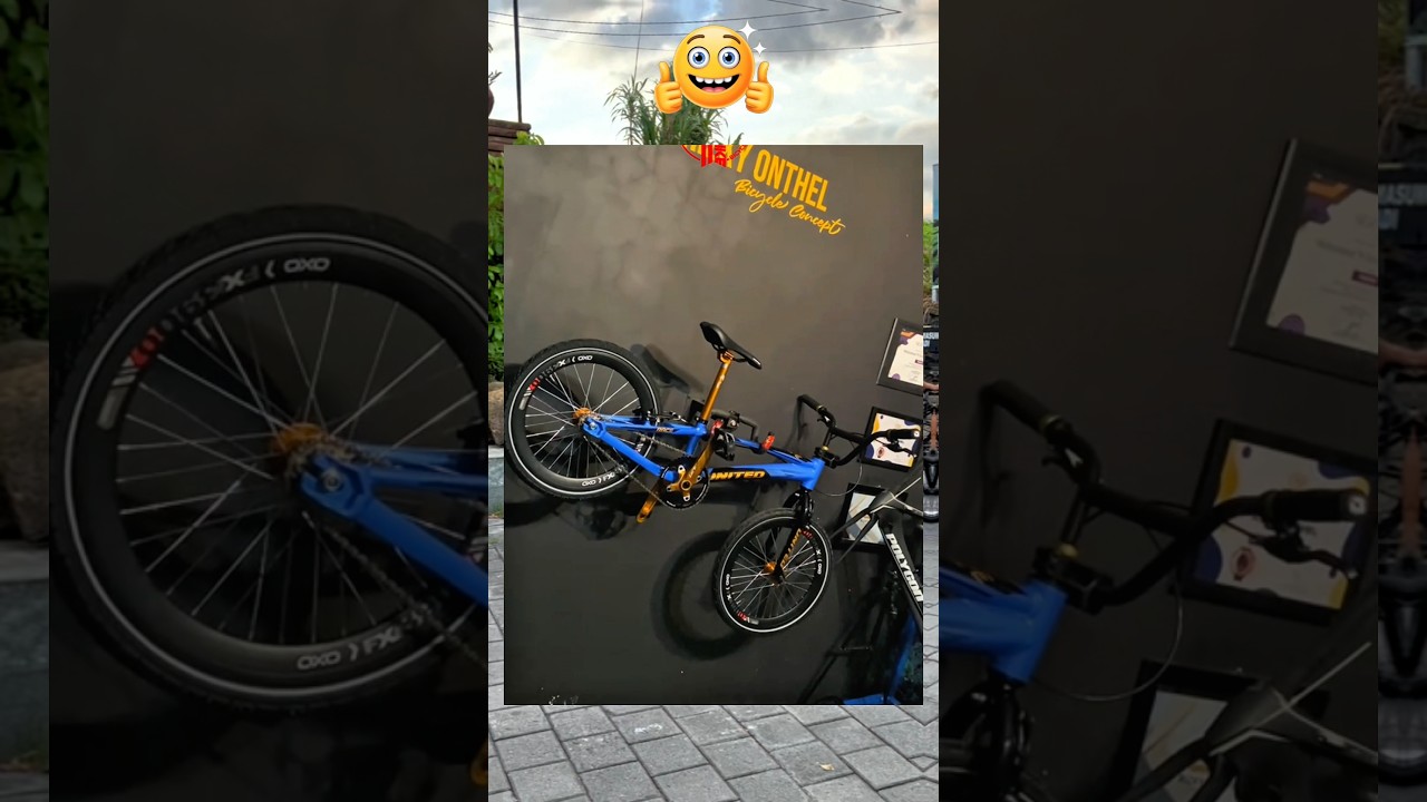 Coba bantu pilih lebih bagus sepeda ontel mana?
