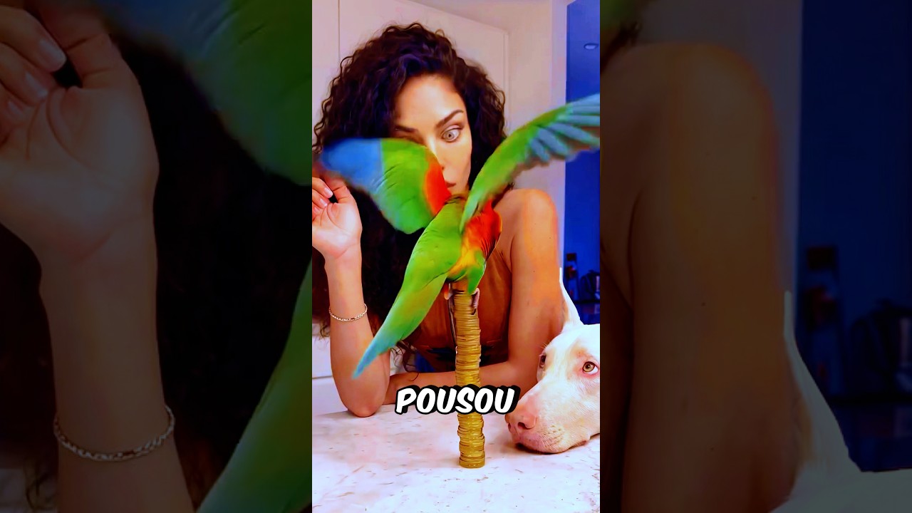 Esse Papagaio É MUITO Esperto! #curiosidades #incrível #animal