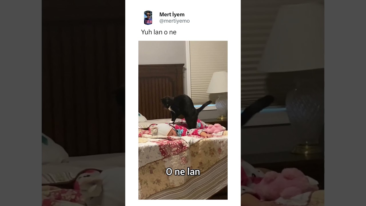 böyle videolar için kanalımıza abone olmayı unutmayın