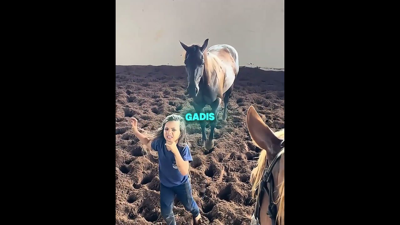 Gadis kecil ini sangat ingin naik kuda 🐴❤️