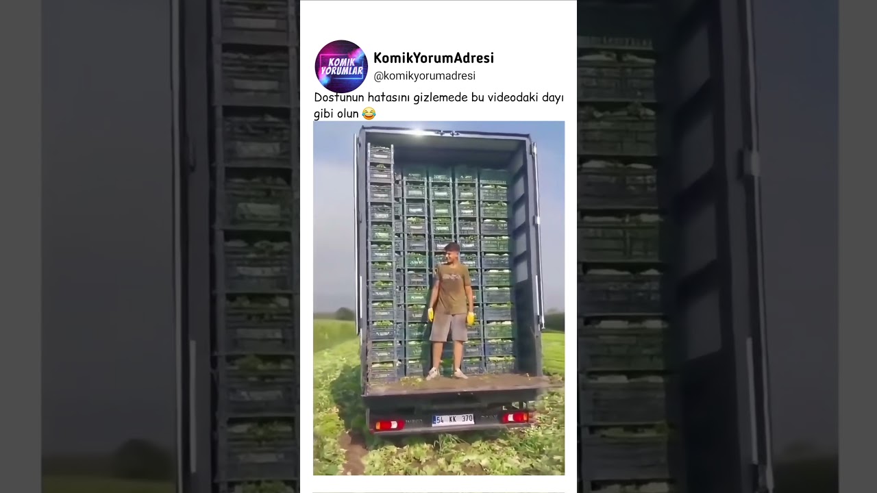 Dostunun hatasını gizlemede bu videodaki dayı gibi olun 😂