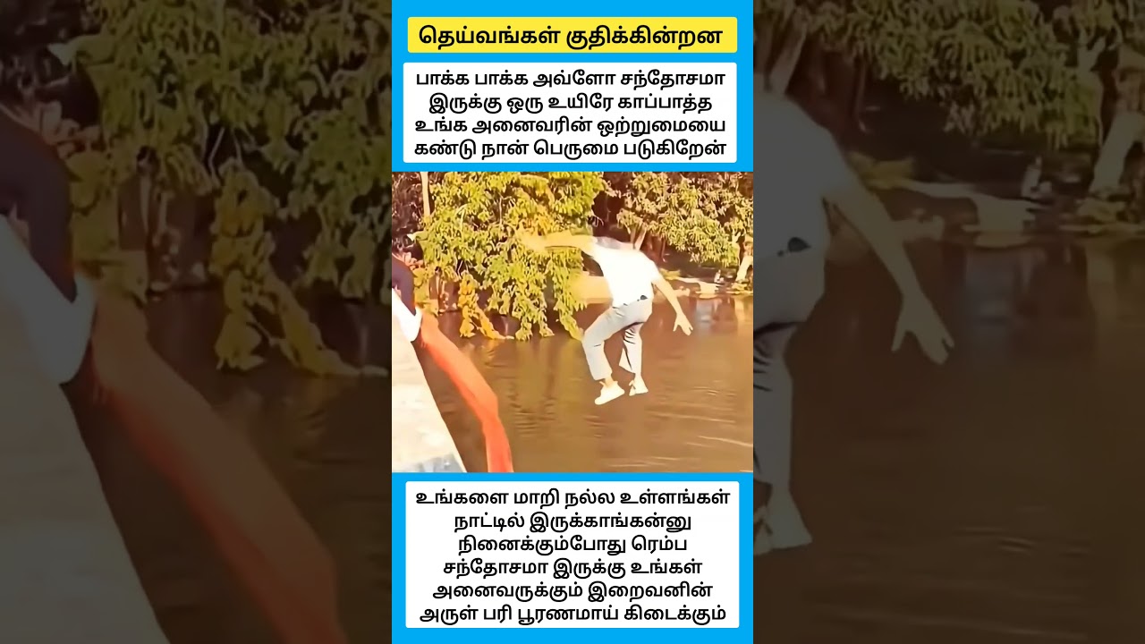 தெய்வங்கள் குதிக்கின்றன...... #shorts