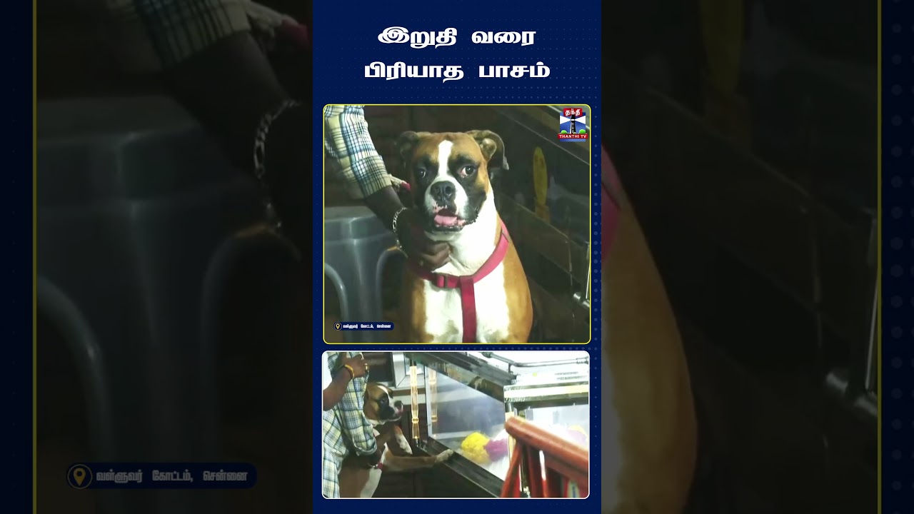 K Bhagyaraj | RIP Bhagyaraj | Pet Dog | Loyal Dog
