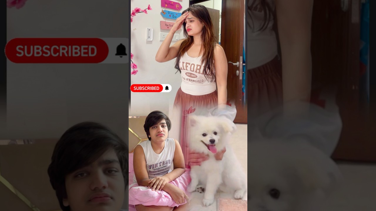 Pogo ki kis kis ko Yaad aa Rahi hai ? ❤️🐶😥 #youtubeshorts #cutedog #emotionalstory