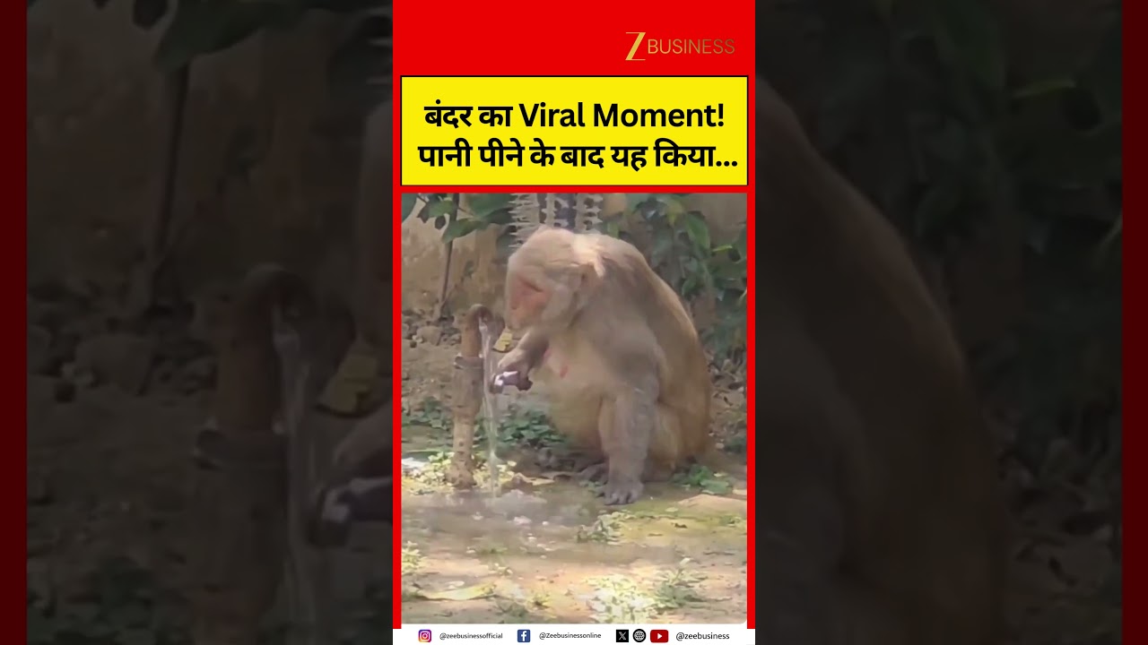 Monkey’s Viral Moment! What It Did After Drinking Water Amazed Everyone