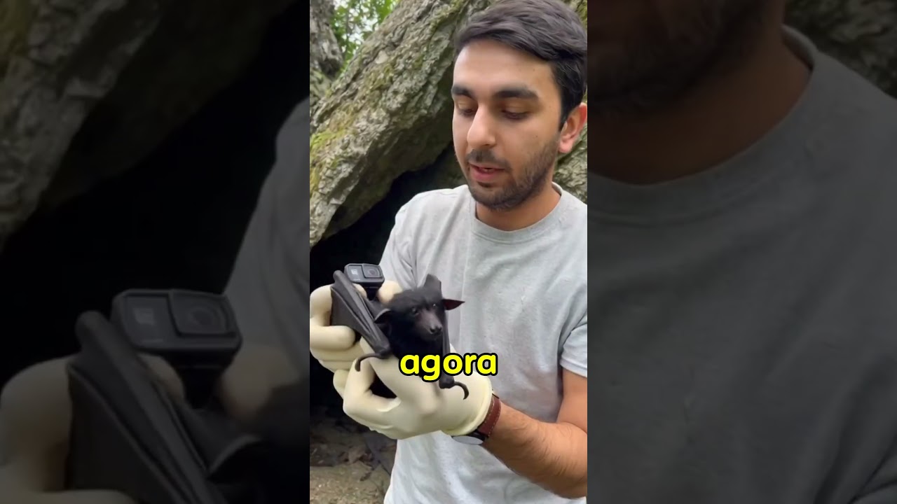 Seria desse jeito ver a vida dos animais 😱