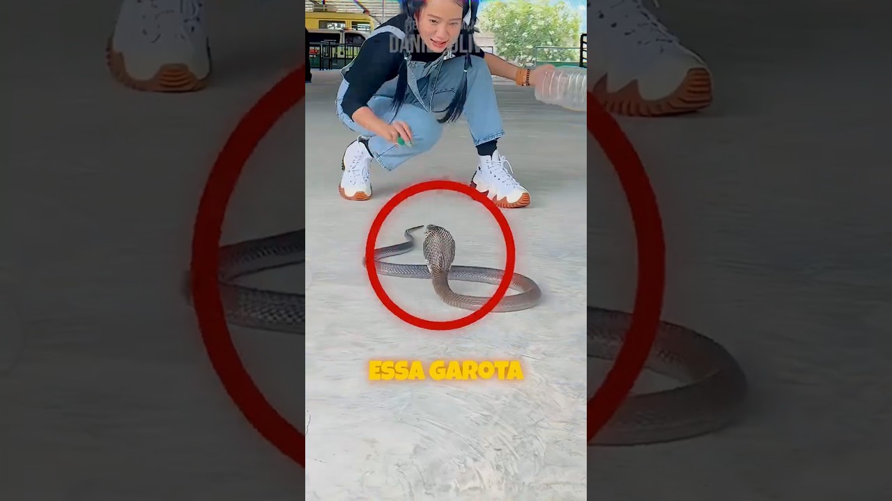 Ela CAPTUROU Uma NAJA Com Uma GARRAFA De PLÁSTICO (créditos: @oomaelodyoo/TT)