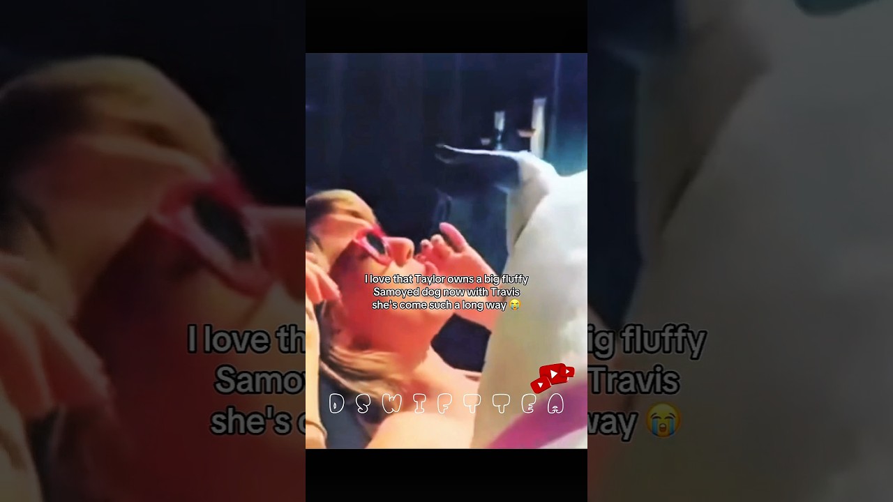 old clips of Taylor being annoyed withher mom's dog #taylorswift #traviskelce#cats #swifties #tayvis