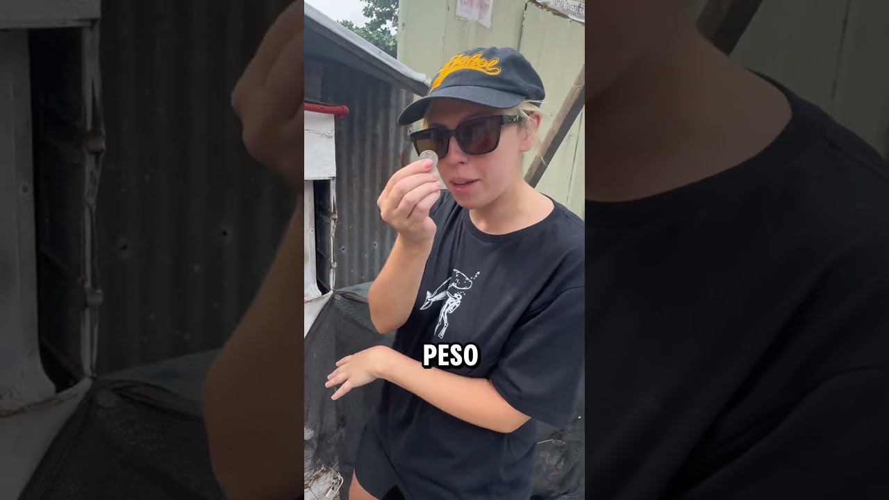 THESE ARE SO PRACTICAL! #philippines #youtubeshorts #travel #discoverph #backpacking - Published by Chickabroad
