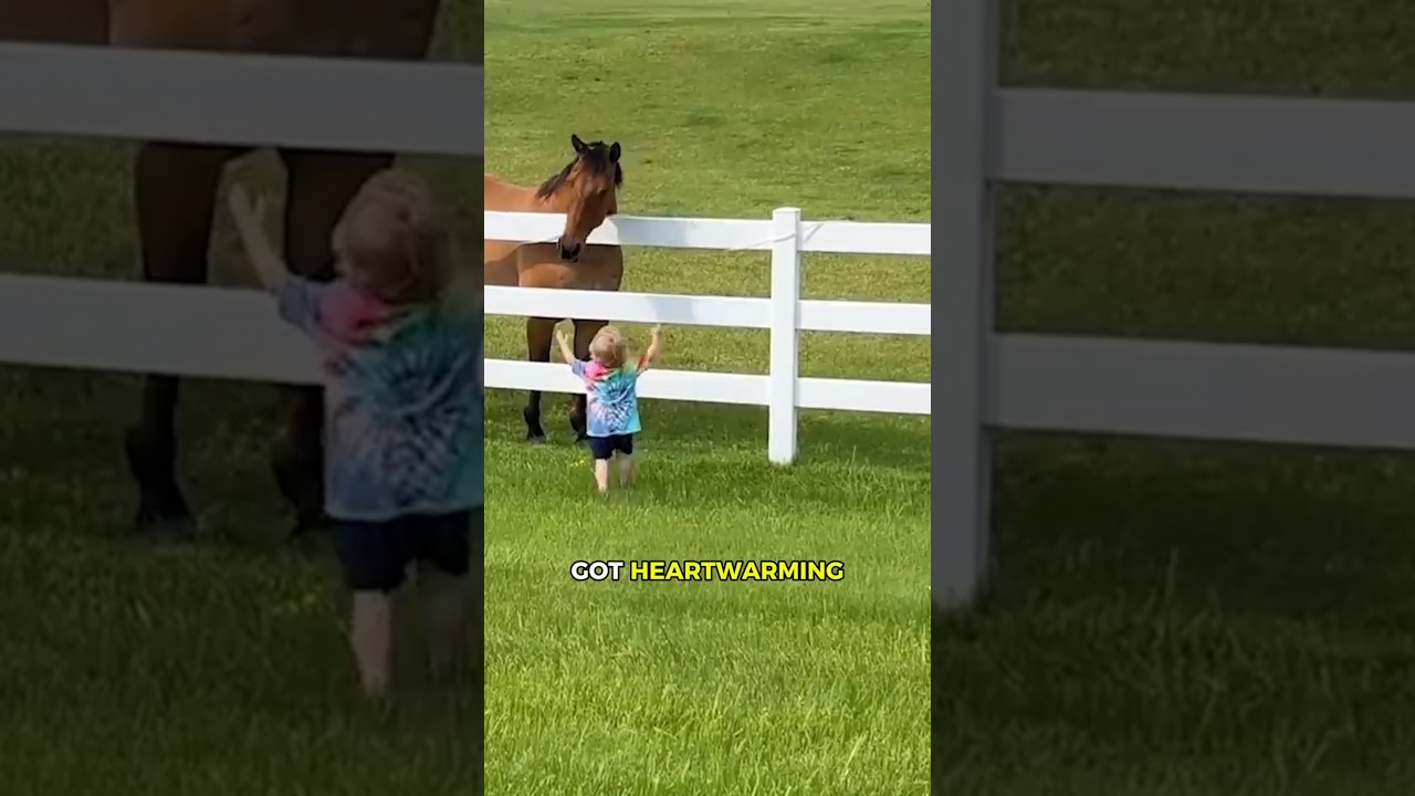 Horse’s shocking reaction when it reached him! 🤯💛 #animals #horse  #smartanimals