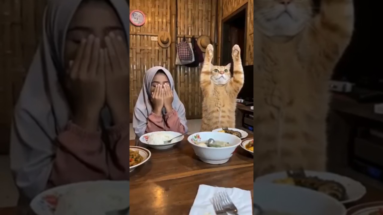 salah baca doa #meme #meow #ai