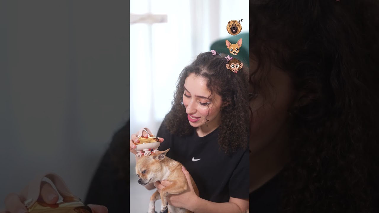 شفتوا فلوق جبت حيوان غريب 🫢 وفي مسابقة  500 دولار 💗