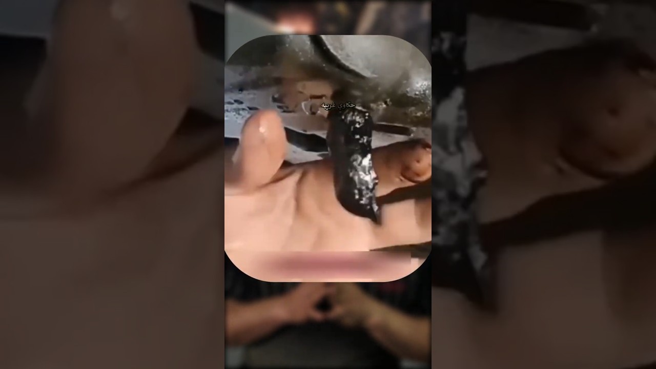 زيت العربية اتحول لجيلي 😳🚗