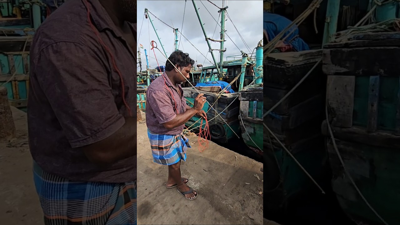 Oh My God! Brave Man Fishing Idea😱😱😱 #fishing #fishingvideos #thoondilulagam #seafishing