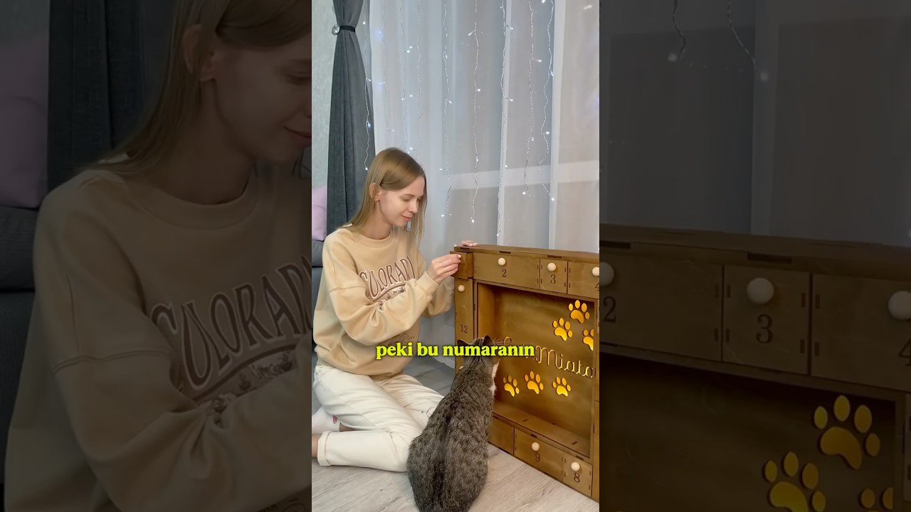 🧸💝 PAMUK’UN DOĞUM GÜNÜ SÜRPRİZ KUTUSU! HER KUTUDA HEDİYE VAR