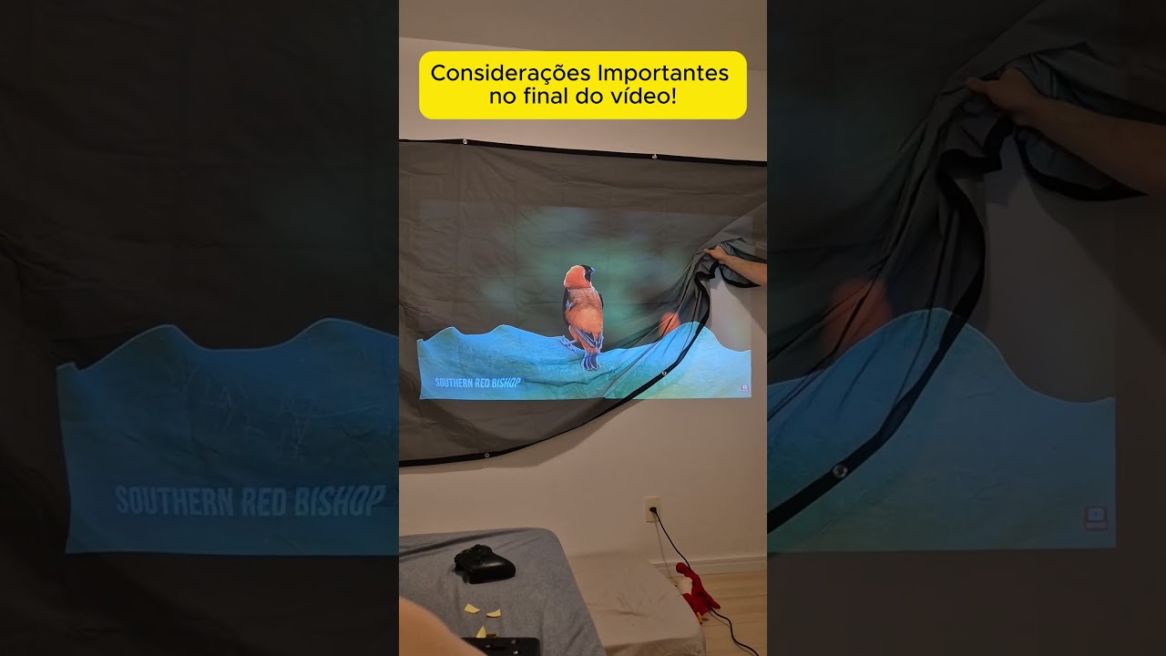 CAP 175 - Testando a Tela Projetora V2