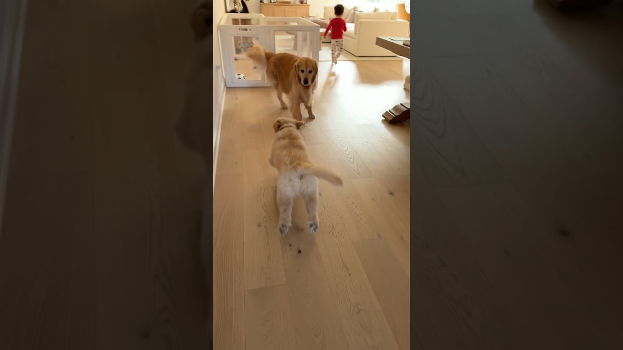 Caught red handed…😳😅