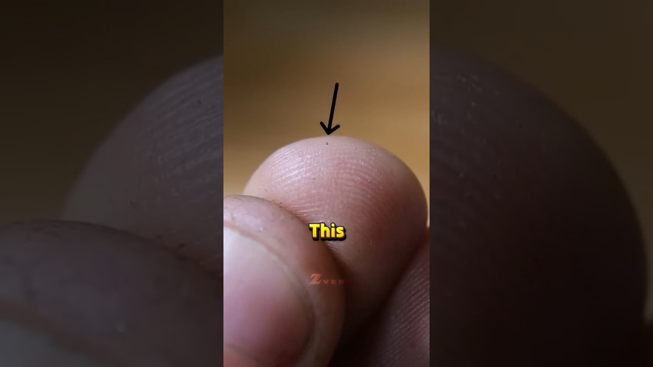 World's Smallest Motor