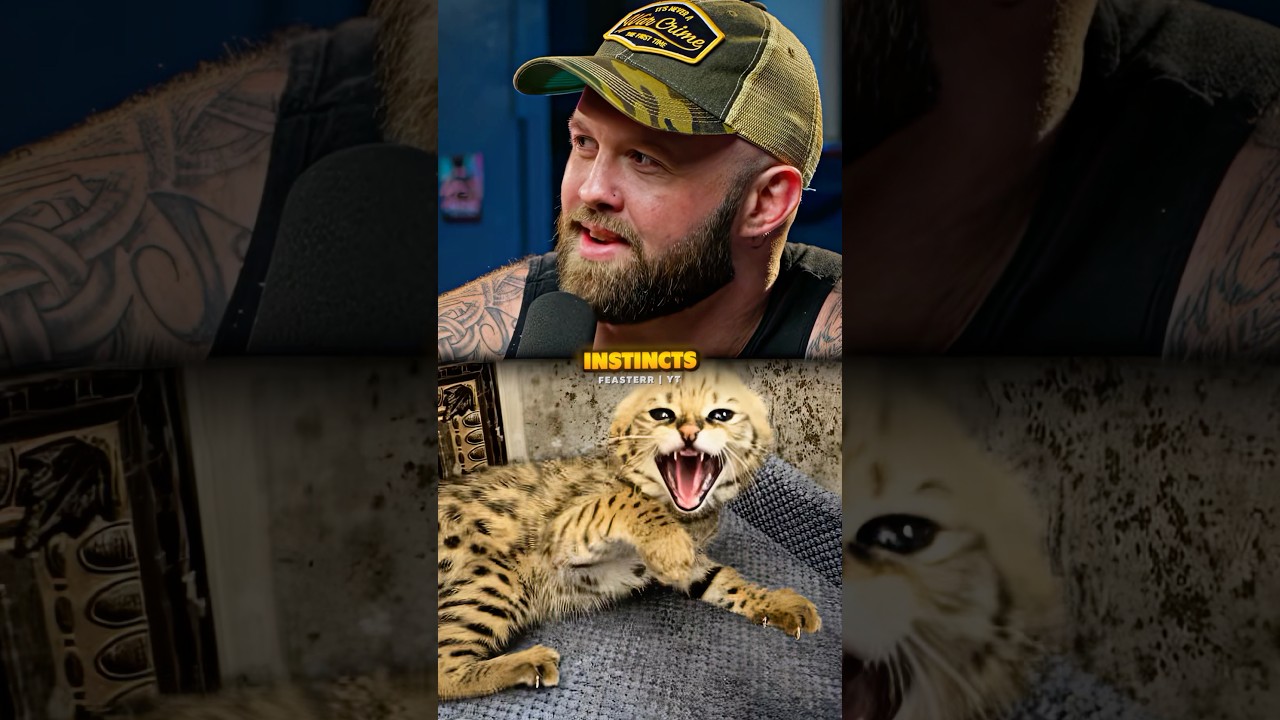 This Can Save Your Cat From Dehydration 😳 ft. Unsubscribe Podcast 266