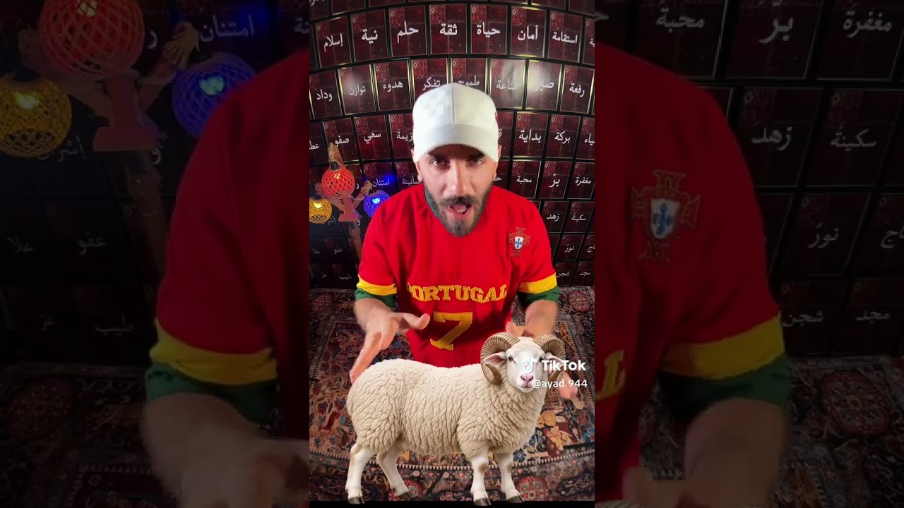 ٢٤ أغسطس ٢٠٢٦