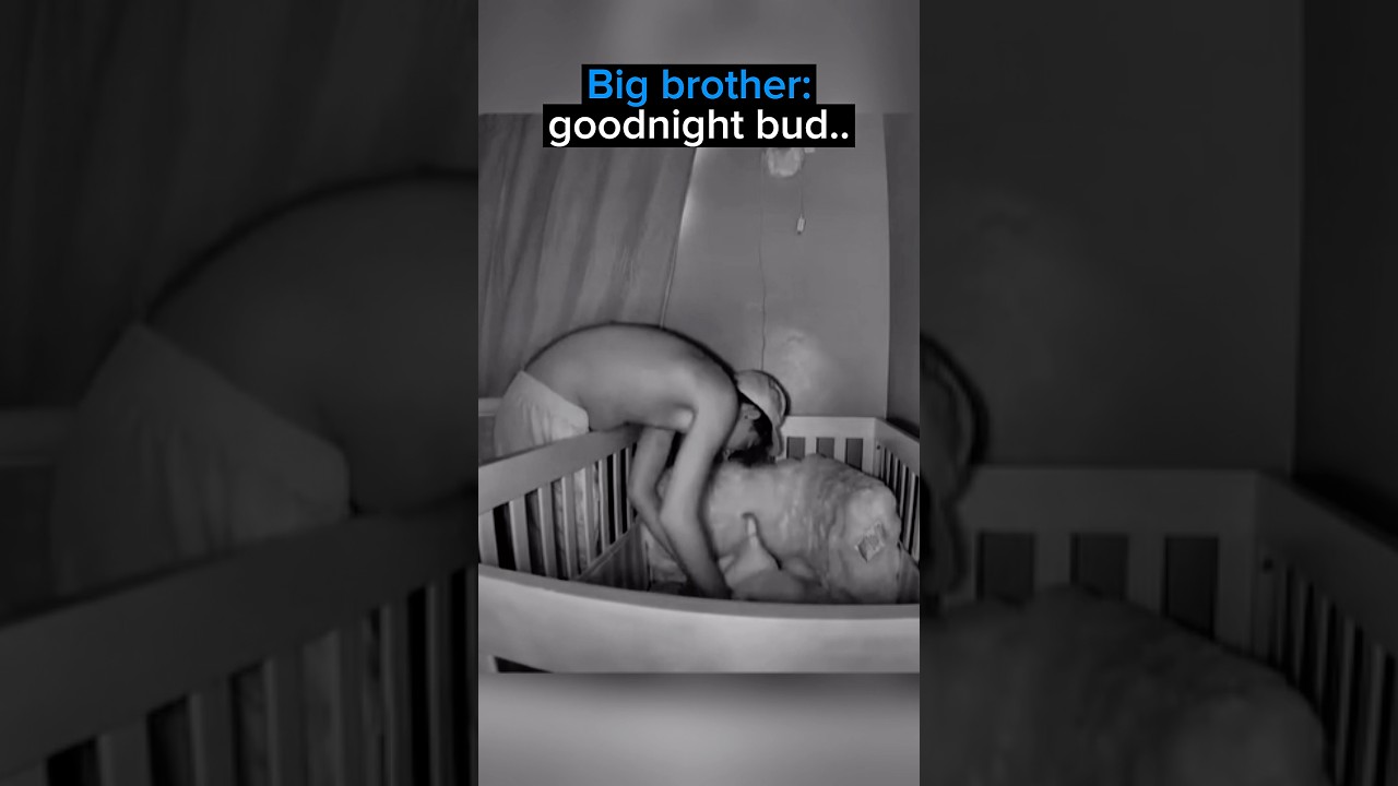 The Sweetest Sibling Interaction Caught On Camera…