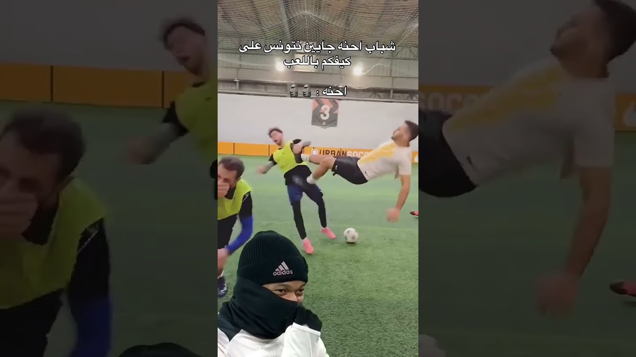 هاي شني