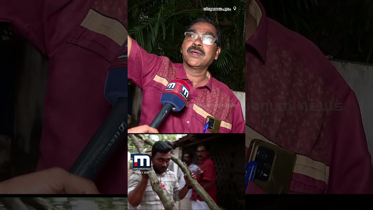 മൈലാഞ്ചിയെന്ന് കരുതി വെട്ടിയത് ചന്ദനം !! ദേവസ്വം ആസ്ഥാനത്തെ ചന്ദനമരത്തിന്‍റെ ചില്ലകൾ മുറിച്ചുമാറ്റി