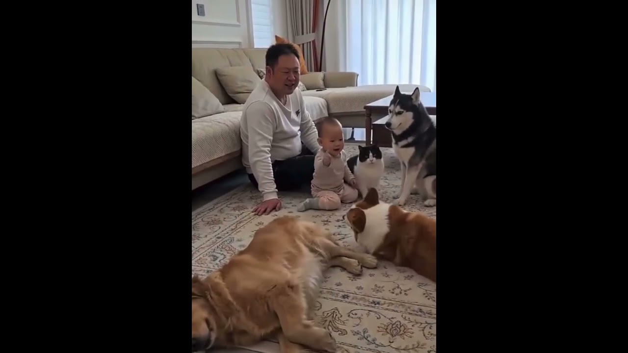 AKILLI BIDIKLAR PART-1