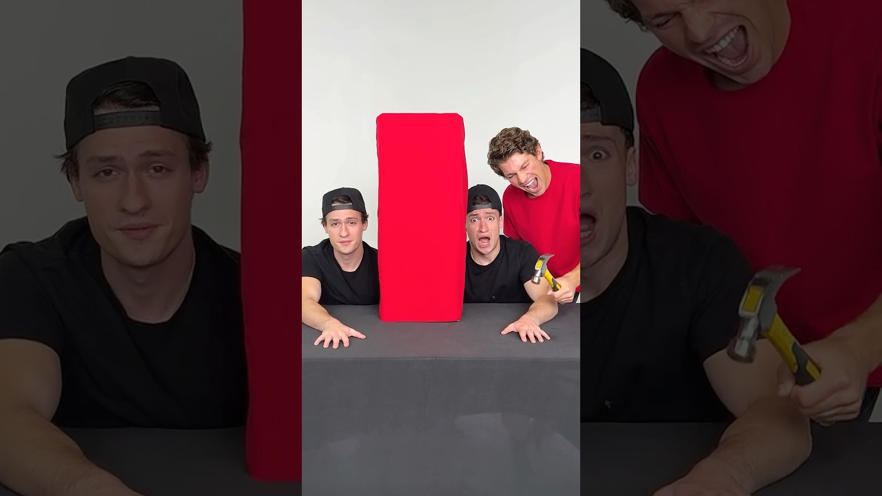 Can Twins Feel Each Other's Pain? 😫