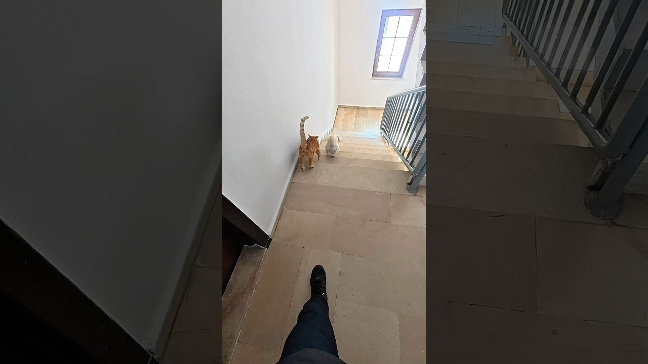 ABS olmayınca böyle oluyor