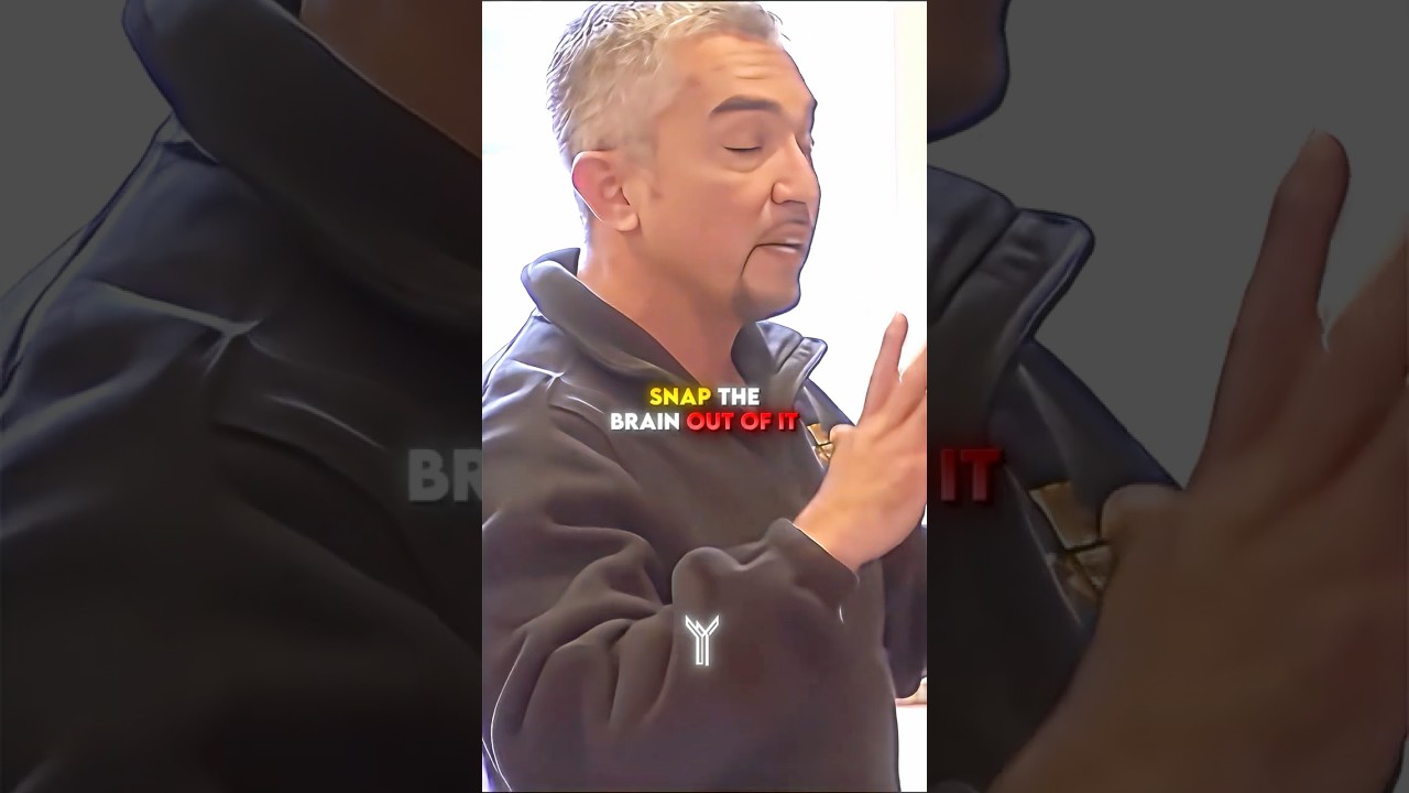 He FIXED The Dog That'd Bit Its Owners Over 20 TIMES... 🐕👏