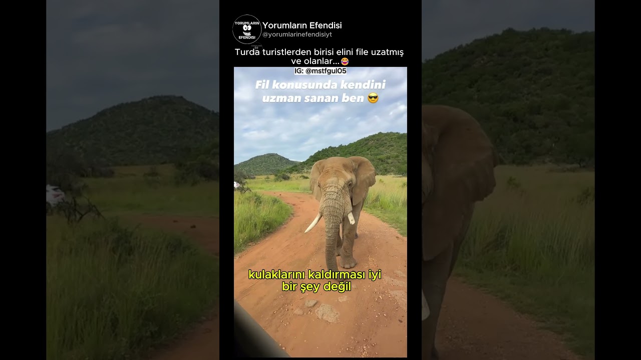 Elinizi file uzatırsanız ne olur😂 @mstfgul05