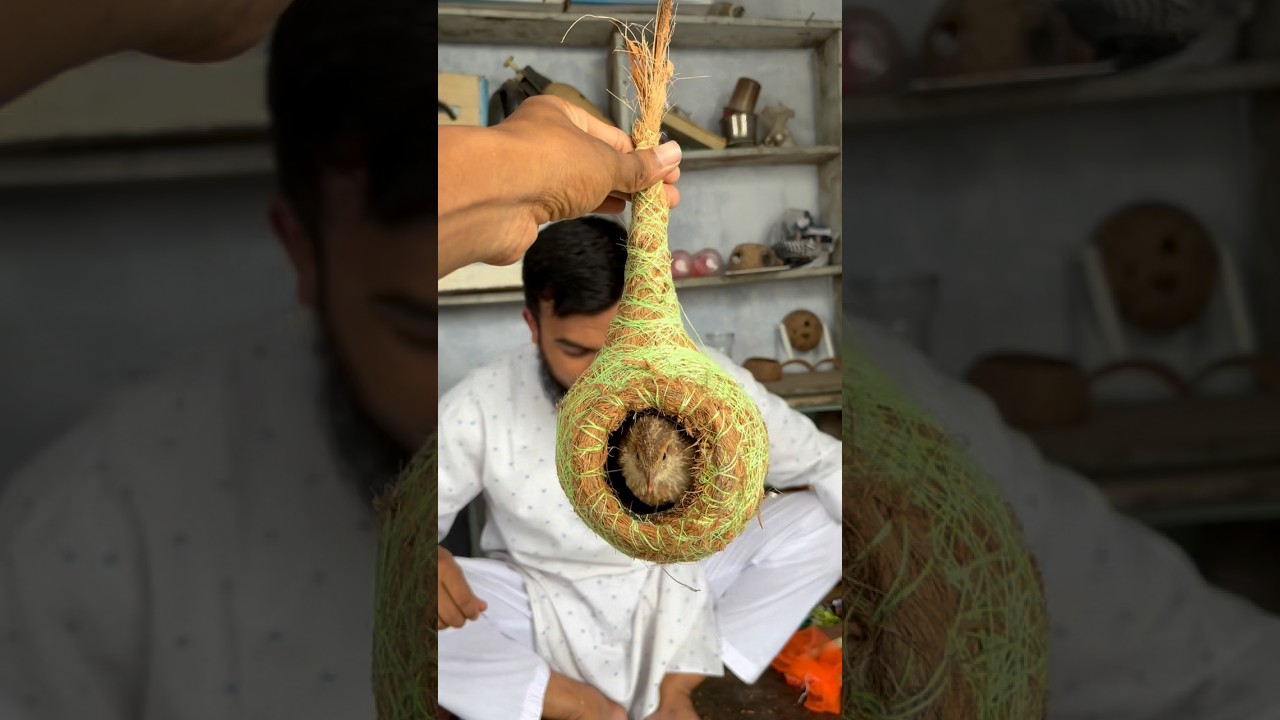 Turning a Coconut into a Beautiful Bird Nest | Complete Making Process. #shorts