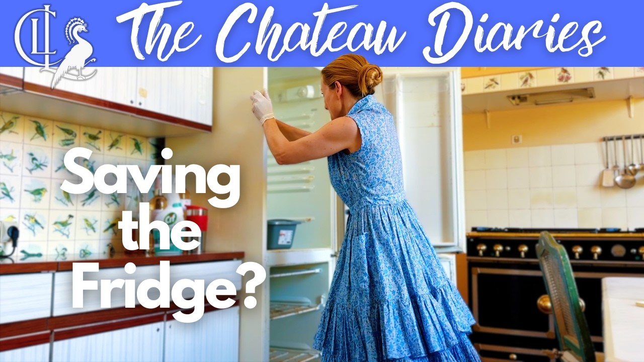 A Grand Salon, a Vintage Fridge, and a Lot of Elbow Grease! 💪🏻