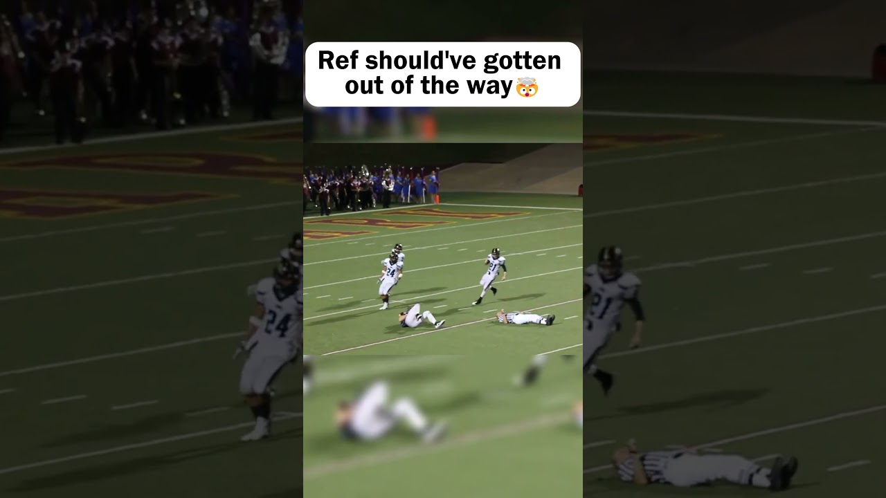 Ref Gets KNOCKED OUT🤯💀