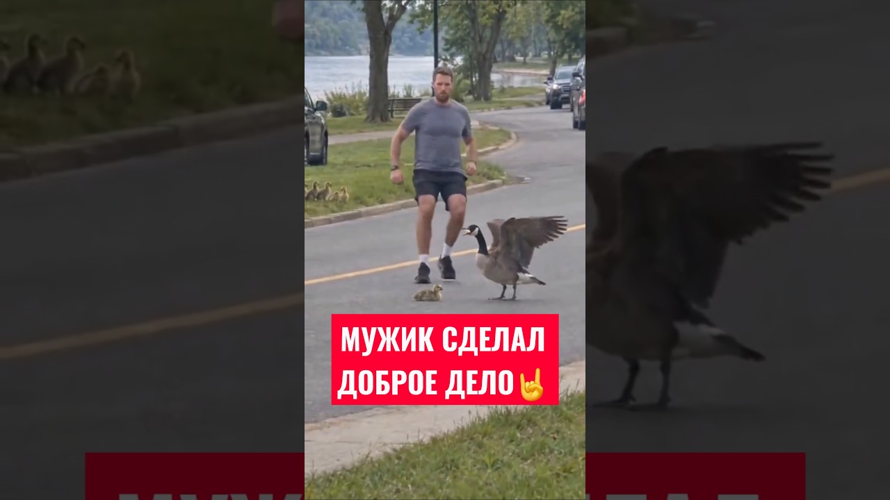МУЖИК СДЕЛАЛ ДОБРОЕ ДЕЛО🤘 #смешноевидео #прикол #душевныеистории