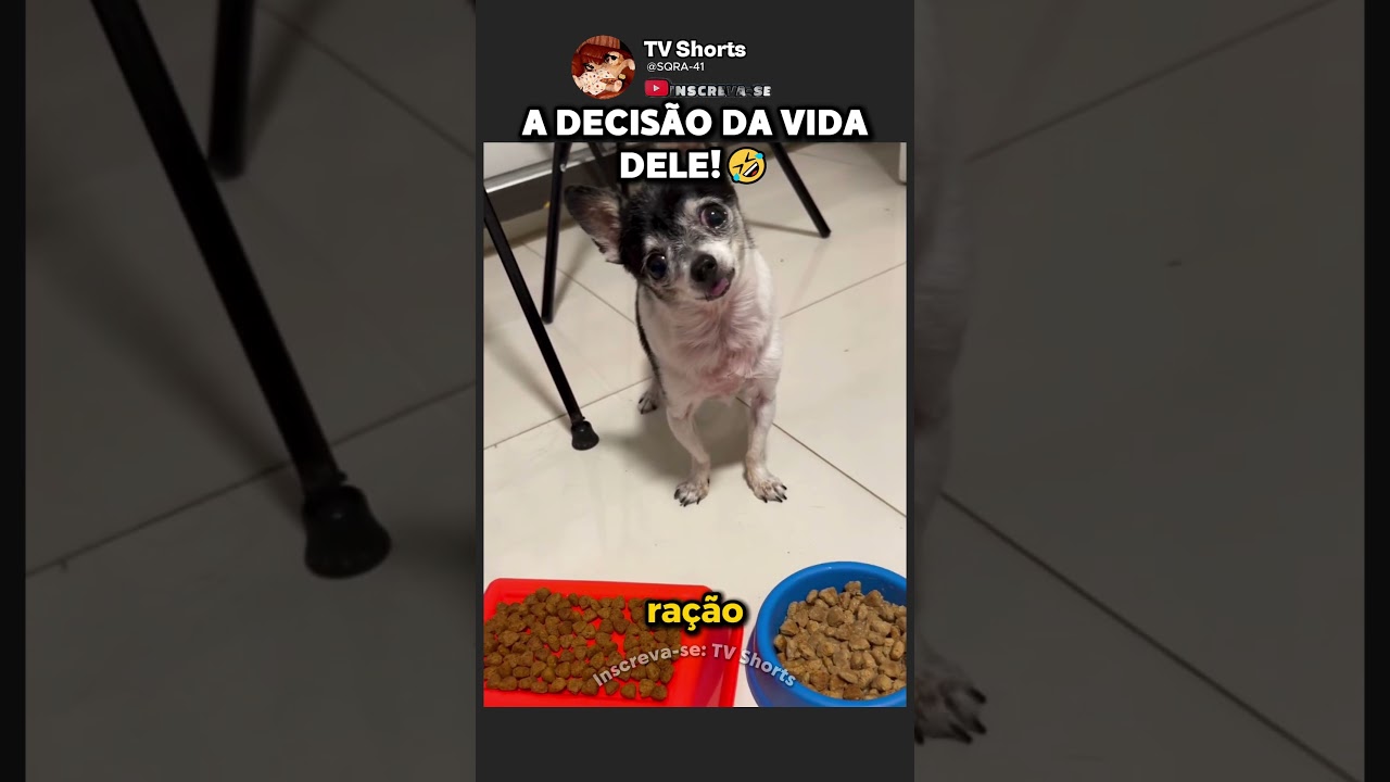 O CACHORRO ESCOLHENDO SUA RAÇÃO! 🤣