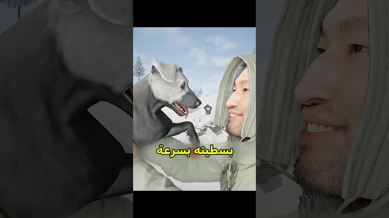 الكلب هو البطل الحقيقي 😍 #shortvideo