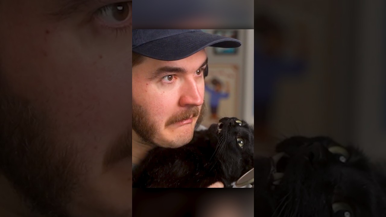Schlatt's Cat "Hugs" Him 🥹