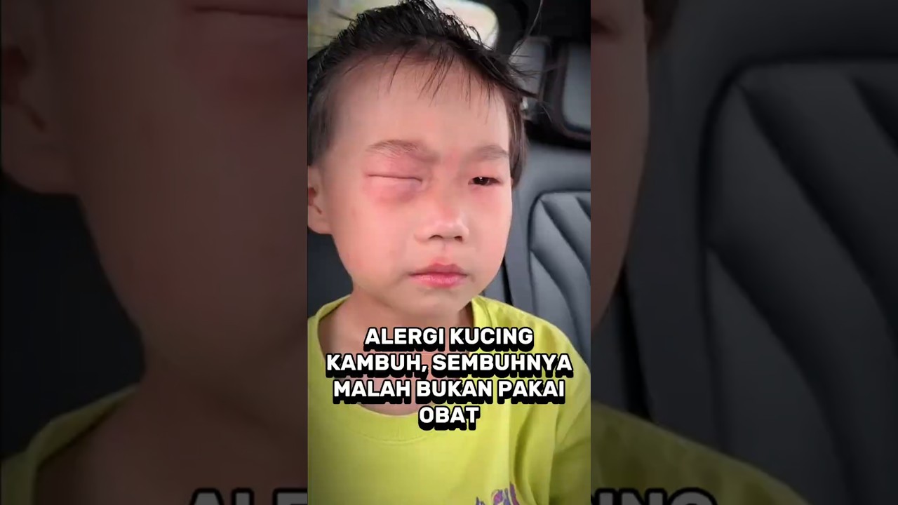 Ke kafe kucing berujung drama! #kisah #vlog #cerita