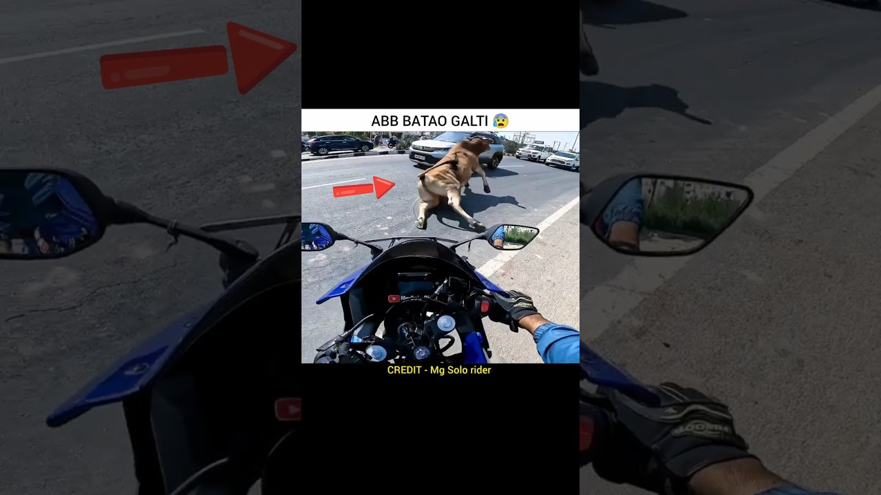 𝗣𝗿𝗮𝘆 𝗙𝗼𝗿 𝗖𝗼𝘄 🐄😰💥 𝗠𝗼𝘁𝗼𝘃𝗹𝗼𝗴𝘀 #shorts #cow #motovlog