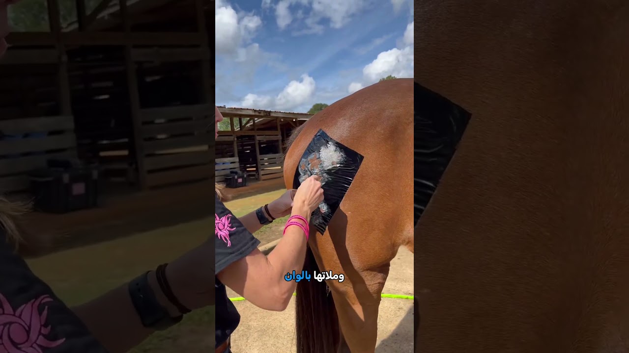 تصميم فريد لحصان سباق! 🐎✨