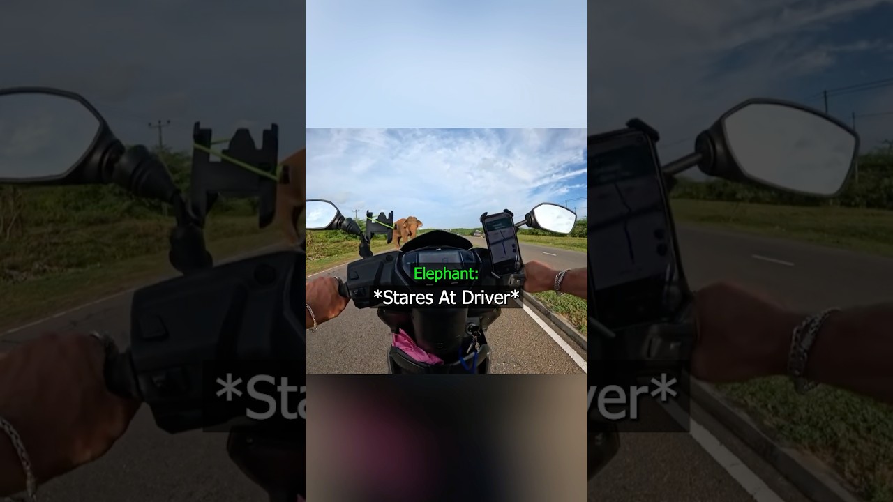 No One Expected The Ending 😱 Credit @gopro